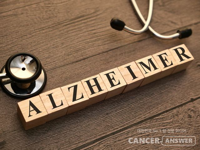 뇌 속 리튬 농도의 감소가 알츠하이머병(치매)의 초기 병리와 밀접하게 관련돼 있으며, 저용량 리튬 보충이 동물모델에서 병리 변화를 되돌리고 기억력을 회복시킬 수 있다는 결과가 제시됐다./게티이미지뱅크