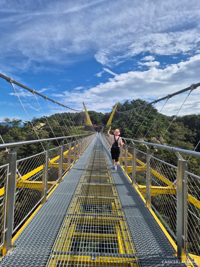 엄마와 원주 소금산에 다녀왔습니다. 출렁다리를 걸으며 여러가지 생각을 했습니다.