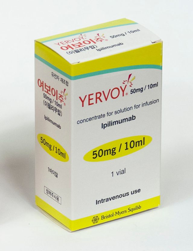 T세포의 활성을 억제하는 CTLA-4를 차단하는&nbsp;면역항암제 여보이(성분명 이필리무맙)./한국오노약품-한국BMS제약 제공