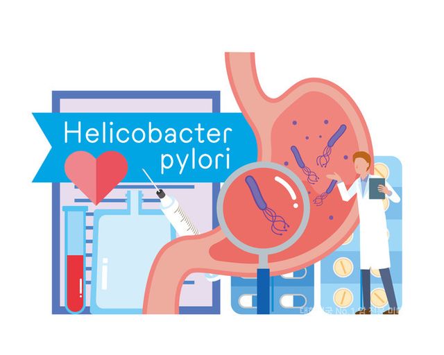 WHO 산하 국제암연구소(IARC)가 최근 ‘네이처 메디신(Nature Medicine)’에 발표한 보고서에 따르면, 전 세계에서 매년 새로 발생하는 암 중 230만 건(10.2%)이 헬리코박터 파일로리균 등 감염성 병원체에 의해 유발된다./게티이미지뱅크