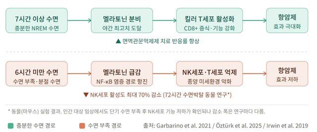 수면 시간에 따라 달라지는 면역력을 보여주는 그래픽.