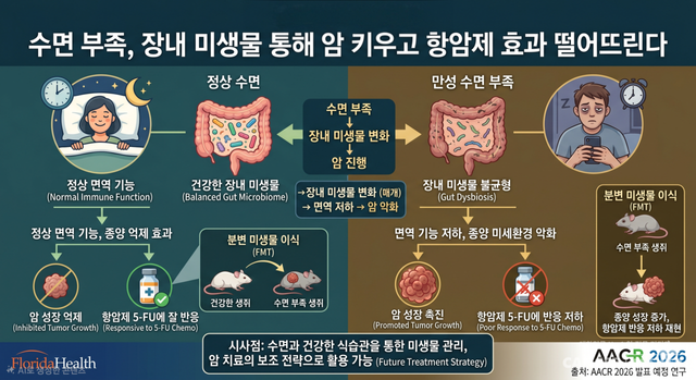 수면과 장내 미생물, 암 치료 효과의 관련성을 보여주는 개념도./AI 이미지