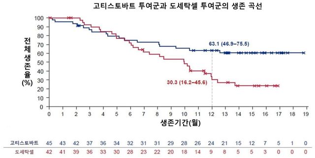 치료 시작 6개월 시점부터 생존 곡선이 확연히 벌어지며, 12개월 시점에서는 고티스토바트군이 도세탁셀군보다 두배 높은 생존율을 보여준다./연세암병원 제공