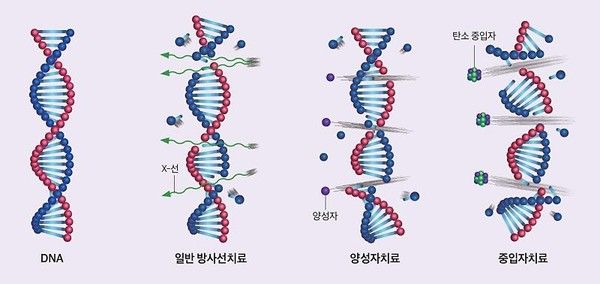 삼성서울병원이 표준치료가 어려운 간암 환자에서 양성자 치료의 임상 성과를 대규모로 제시했다. 수술이나 고주파 소작술이 어려운 환자군에서도 높은 국소 제어율과 생존율을 확인했다는 점에서, 간암 치료의 공백을 메울 대안으로서 의미가 있다는 평가가 나온다./세브란스 홈페이지