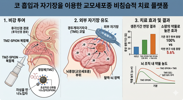 코로 흡입한 항암 나노입자를 자기장으로 뇌종양까지 유도하는 신개념 교모세포종 치료 개념 및 치료 효과 및 결과./AI 이미지