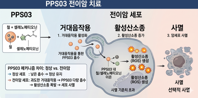 항암제 내성을 보이는 전이암 치료 물질 PPS03의 암 세포 사멸 개념도.
