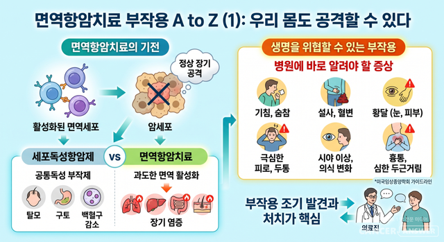 ​면역항암치료가 아예 부작용이 없다고 단정할 수는 없다. 치료제 자체가 야기하는 부작용도 있고, 면역항암치료가 우리 몸의 면역세포의 브레이크를 풀어주는 만큼 예상하지 못한 부작용도 나타날 수 있다. 활성화된 면역세포가 암세포뿐 아니라 정상 장기까지 공격하는 것이다.&nbsp;이를 ‘면역 관련 이상반응’​이라고 한다. 미국임상종양학회(ASCO)가 2021년 공개한 면역 관련 이상반응 관리 가이드라인에 따르면 피부, 폐, 장, 간, 갑상선, 뇌하수체, 심장, 신장 등 거의 모든 장기에서 면역 관련 이상반응이 발생할 수 있다./AI이미지