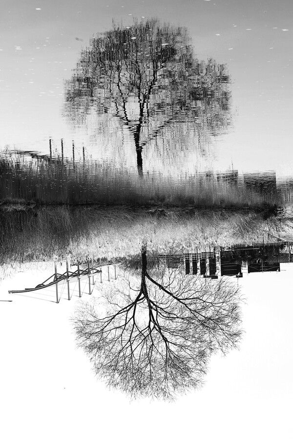 경기도 의정부시 호원동 중랑천(2021. 3. 16) Canon EOS 6D Mark II, &nbsp;f/13, 1/100 sec, ISO 200, 흑백으로 보정&nbsp; (사진=유기철 작가)