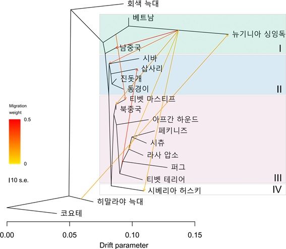 건국대 박찬규 교수팀, 게놈 분석으로 한국 토종개 기원 최초로 밝혀