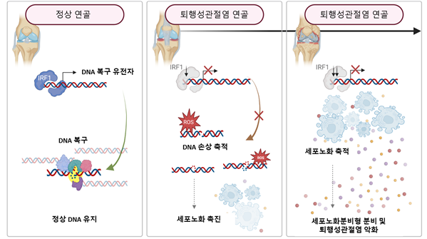 연구개발의 개요