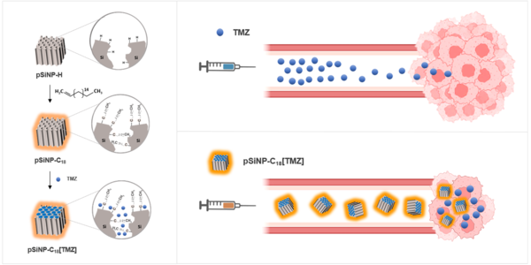 왼쪽: 다공성 실리콘 나노입자의 표면 개질 후 테모졸로마이드를 탑재한 뇌종양 치료제 모식도, 오른쪽: 기존 항암제(TMZ)와 엔테라퓨틱스 개발 나노입자 탑재 TMZ간의 뇌종양 치료 효능과 약물 응집 차이에 대한 모식도