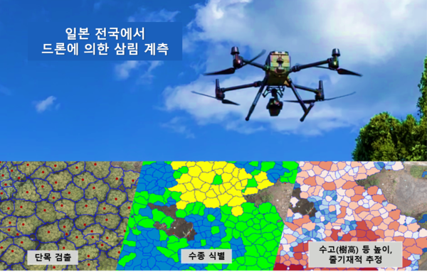 DeepForest Technologies의 드론을 활용한 삼림 조사 (자료=DeepForest Technologies)