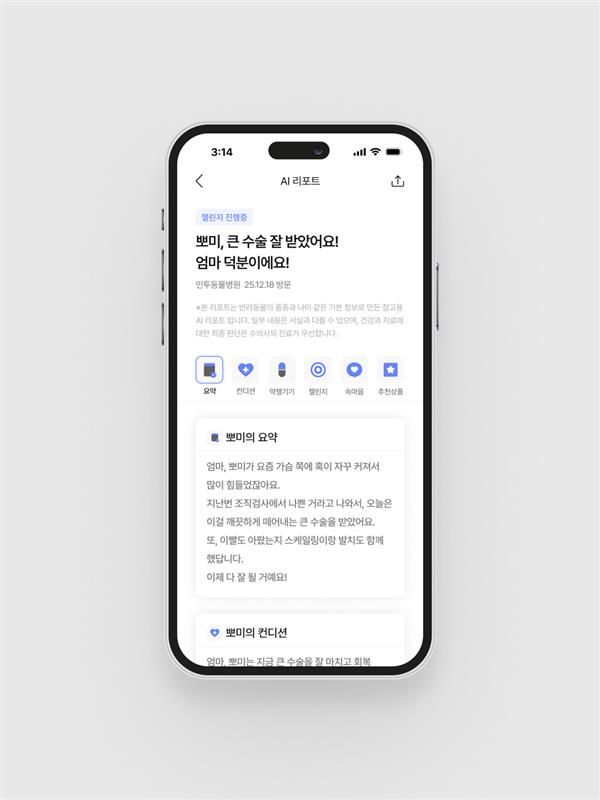 인투펫 에이아이 리포트