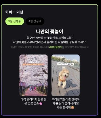 네이버 '클립 특파원 챌린지'