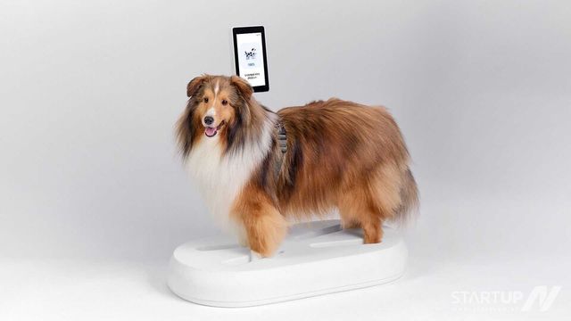 퍼즈메디, 반려동물 체성분 측정기기 임상시험 성공… 