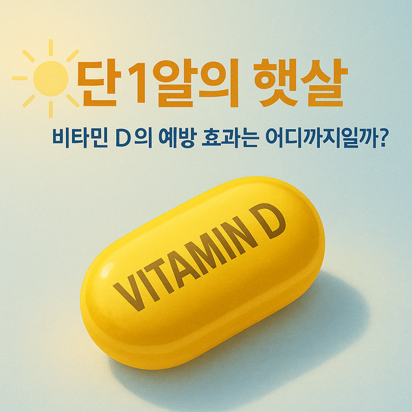 단 1알의 햇살, '비타민 D' 질병 예방의 열쇠 될까