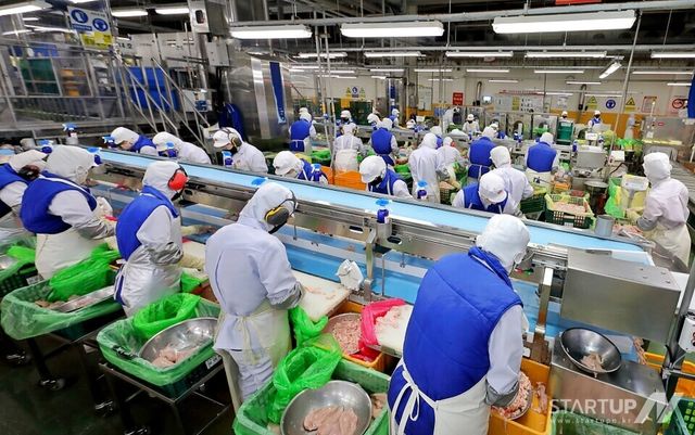 초복을 앞두고 (주)하림 익산공장 현장 직원들이 부분육 정선/발골 작업을 하고 있다. (사진=하림 제공)