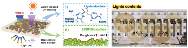 농업폐기물 ‘왕겨’로 만든 친환경 광 제어 필름…경희대 유정목 교수팀, 리그노셀룰로오스 활용 신소재 개발