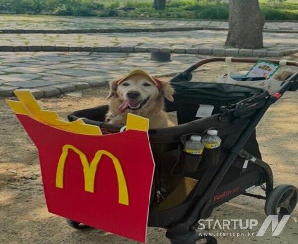 청년과 반려견이 함께 뛴 ‘멍멍 플로깅 런’… 환경과 생명 보호를 향한 한걸음