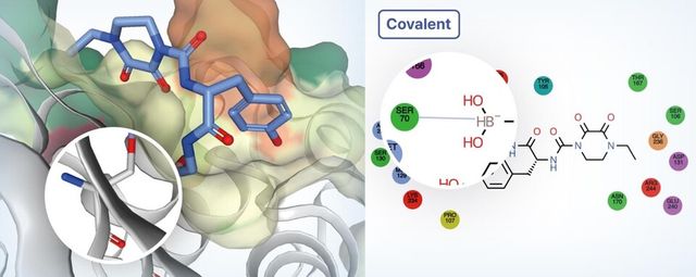 하이퍼랩&nbsp;Covalent&nbsp;이미지