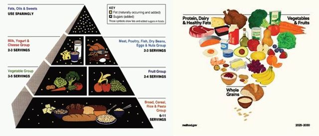 1992 푸드 피라미드(좌) 와 2025-2030 개정된 푸드 피라미드(우) (자료=realfood/gov, USDA)