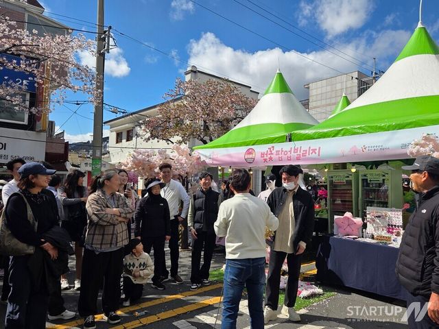 “18만 명 몰렸다”…진해 ‘벚꽃 팝업 빌리지’, 경남 로컬 콘텐츠 경쟁력 입증