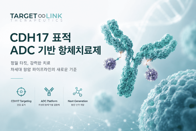 CDH17 표적 ADC 기반 항체치료제 이미지컷. (제공= 엔지켐생명과학)