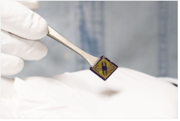 ⓒ데일리포스트=이미지 제공/Nature