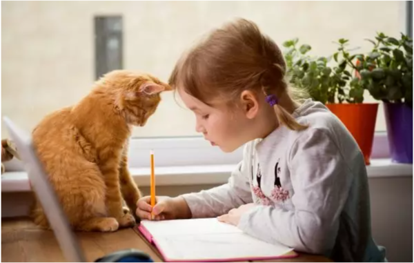 ⓒ데일리포스트=이미지 제공/Flickr