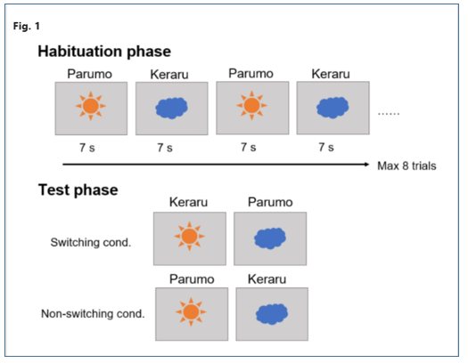 ⓒ데일리포스트=이미지 제공/Scientific Reports
