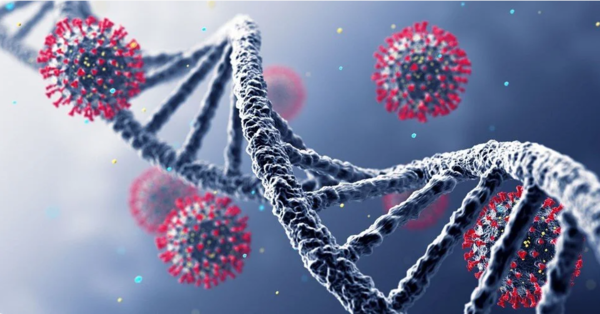 ⓒ데일리포스트=이미지 제공/Unsplash