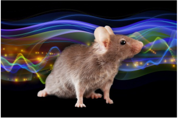 ⓒ데일리포스트=이미지 제공/Flikr