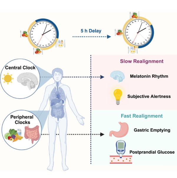 ⓒ데일리포스트=이미지 제공/iScience