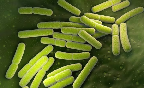 ⓒ데일리포스트=이미지 제공/Flikcr