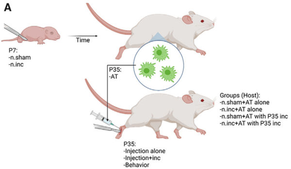 ⓒ데일리포스트=이미지 제공/Cell Reports
