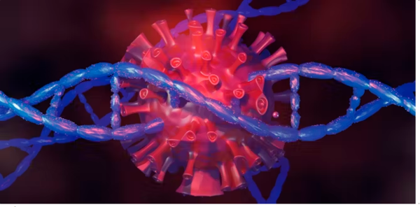 ⓒ데일리포스트=이미지 제공/Flickr