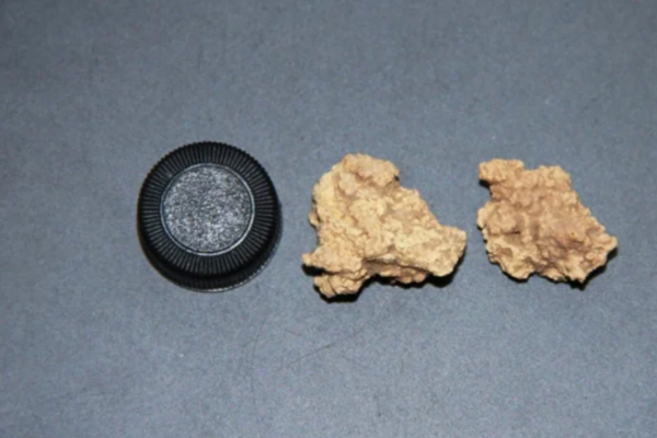 미라에서 발견된 케피르 치즈. ⓒ데일리포스트=이미지 제공/Cell&nbsp;