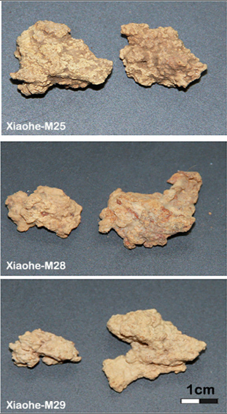 ⓒ데일리포스트=이미지 제공/Cell&nbsp;