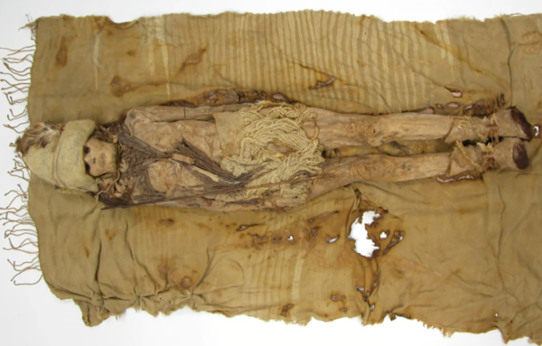 ⓒ데일리포스트=이미지 제공/Cell&nbsp;