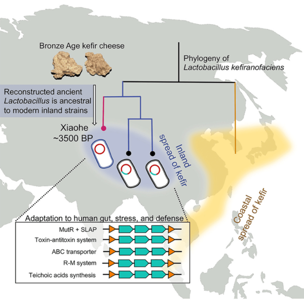 ⓒ데일리포스트=이미지 제공/Cell&nbsp;