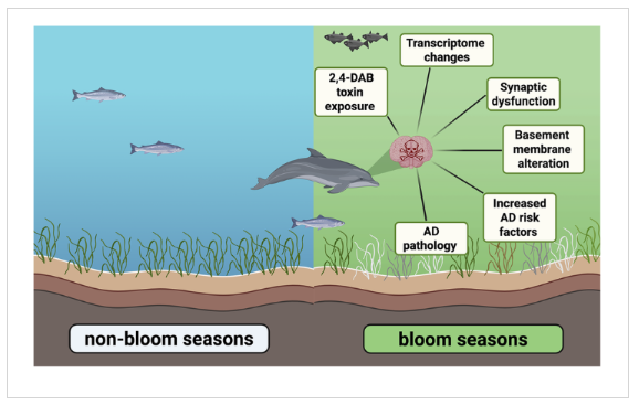 &nbsp;ⓒ데일리포스트=이미지 제공/Communications Biology