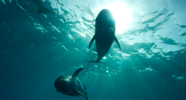 &nbsp;ⓒ데일리포스트=이미지 제공/Flickr