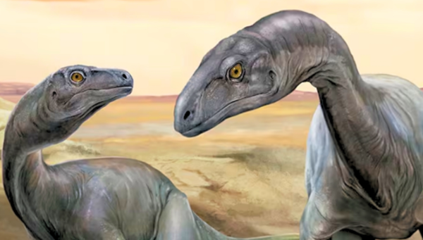 공룡 후아이라쿠르서 야구엔시스의 복원도 ⓒ데일리포스트=이미지 제공/Jorge Blanco·CONICET