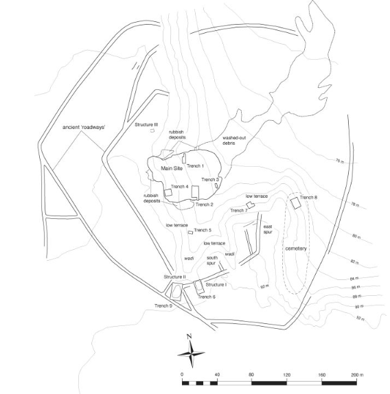 고고학 유적지 지도. 송아지 뼈 피리는 복합 유적 남쪽에 위치한 구조물 I(Structure I)에서 발견됐다. ⓒ데일리포스트=이미지 제공/International Journal of Osteoarchaeology