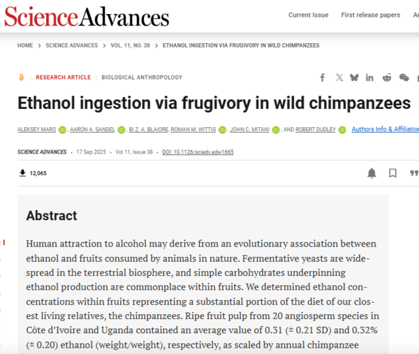 ⓒ데일리포스트=이미지 제공/