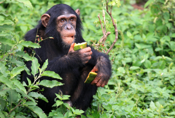 ⓒ데일리포스트=이미지 제공/Unsplash