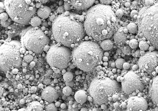 세균 포자를 포함해 산화 문제를 줄인 '살아 있는 금속' 복합체의 나노 구조. ⓒ데일리포스트=이미지 제공/Advanced Functional Materials, 2025