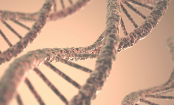 ⓒ데일리포스트=이미지 제공/Unsplash&nbsp;