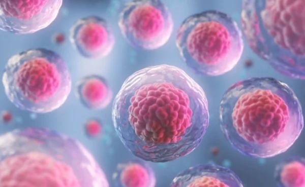 ⓒ데일리포스트=이미지 제공/Unsplash&nbsp;