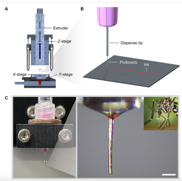 모기의 구기를 활용한 3D 네크로프린팅의 개념과 장치 구성 ⓒ데일리포스트=이미지 제공/Science Advances